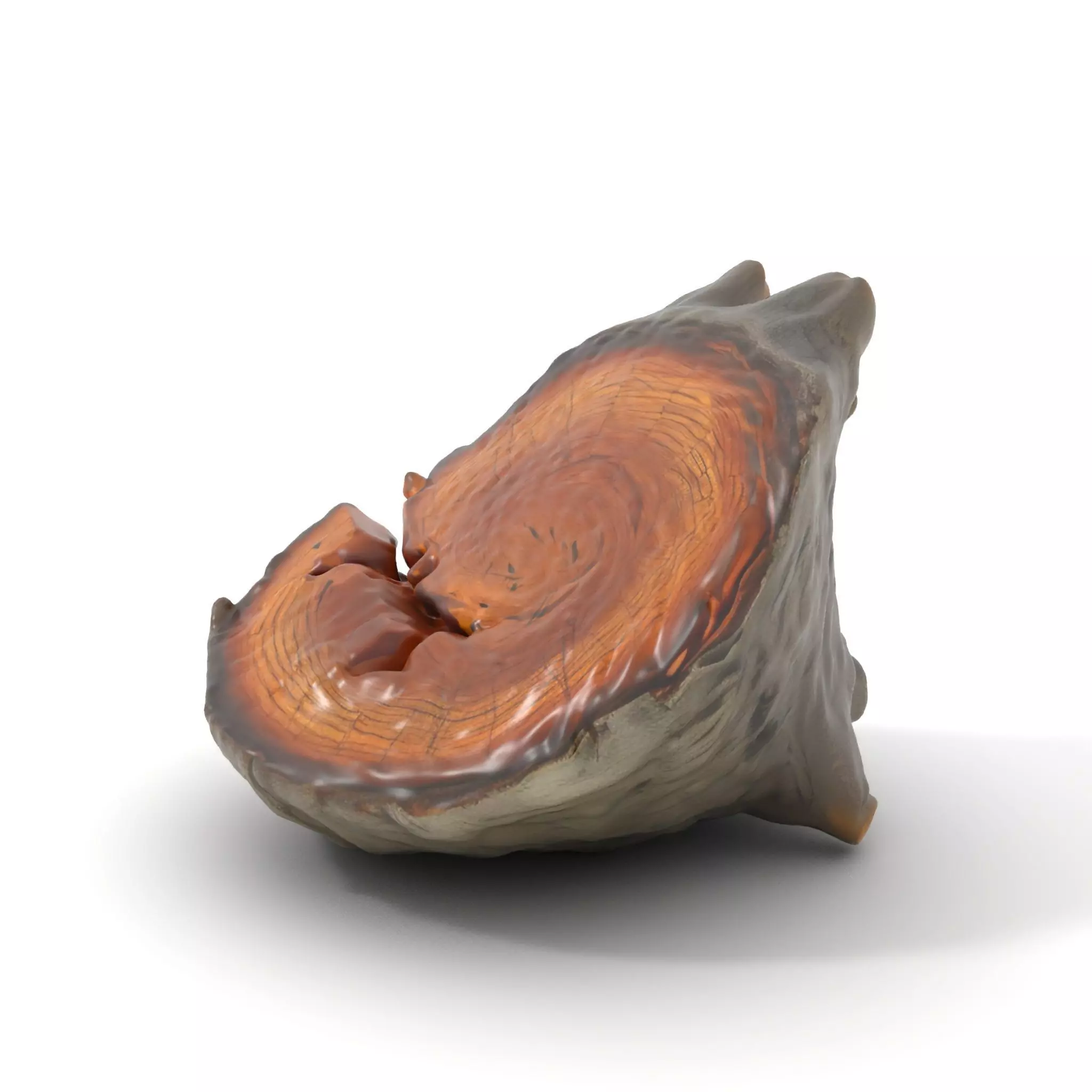 Textured Wooden Log model pack Low-poly 3D model_0