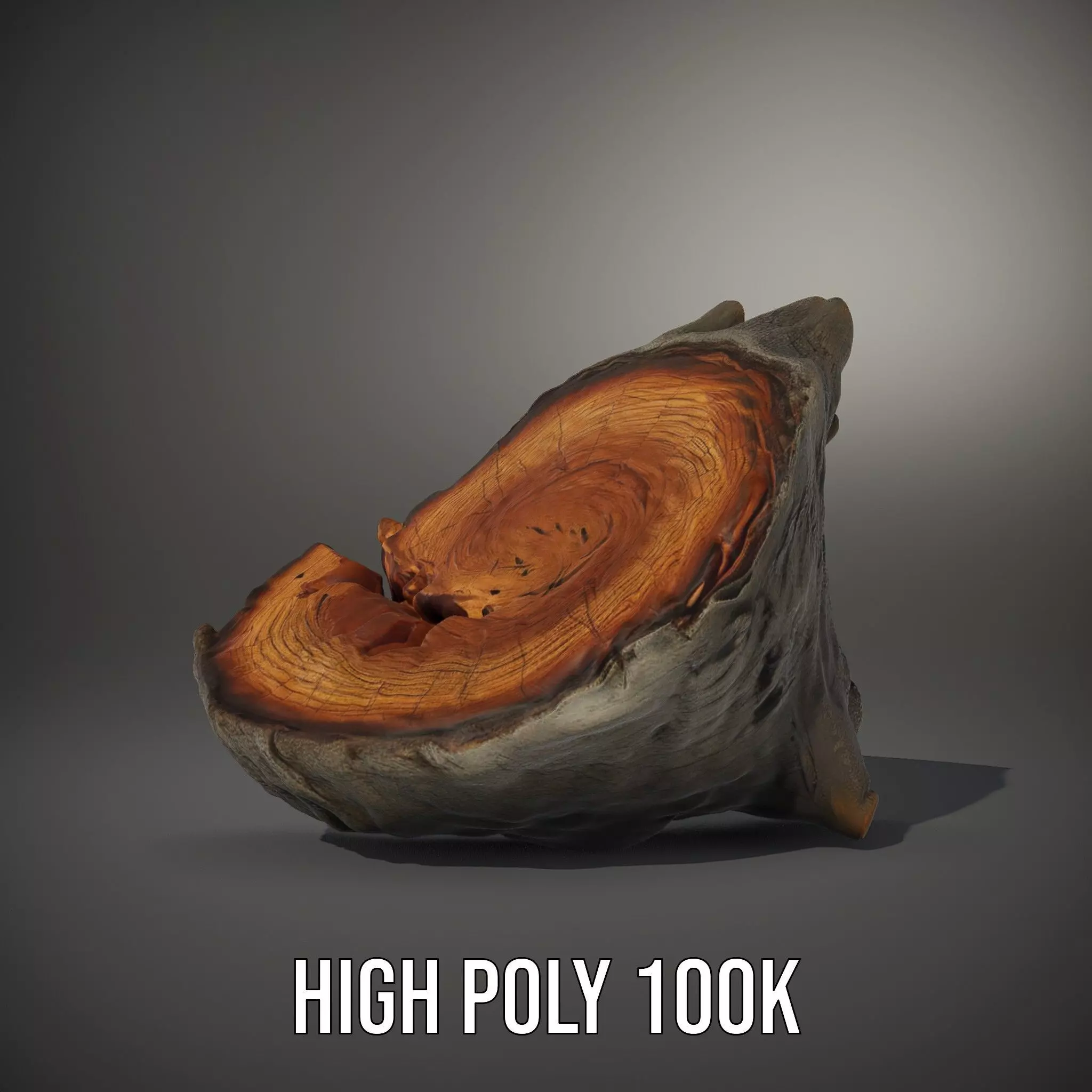 Textured Wooden Log model pack Low-poly 3D model_15