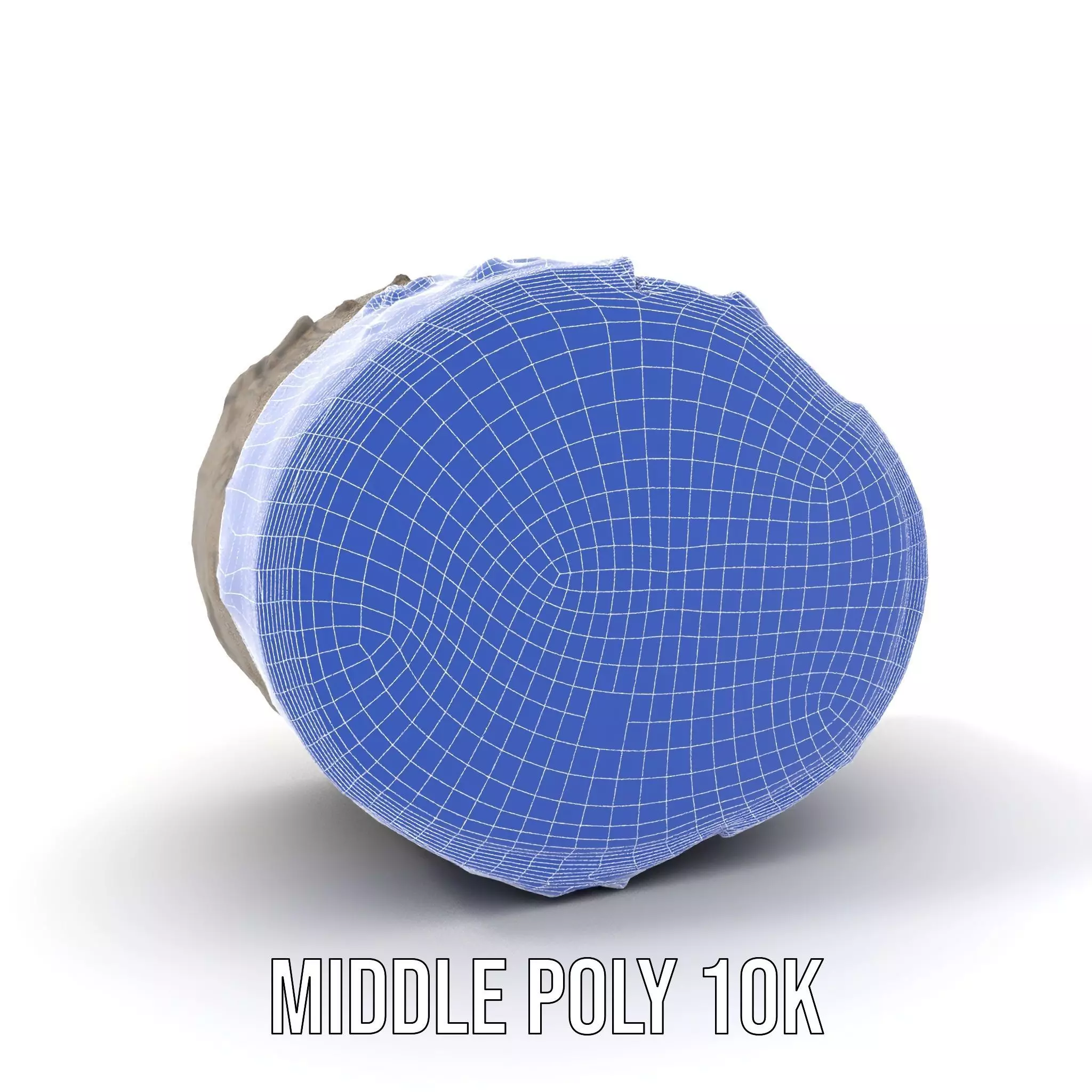 Natural Wood Log model pack Low-poly 3D model_5