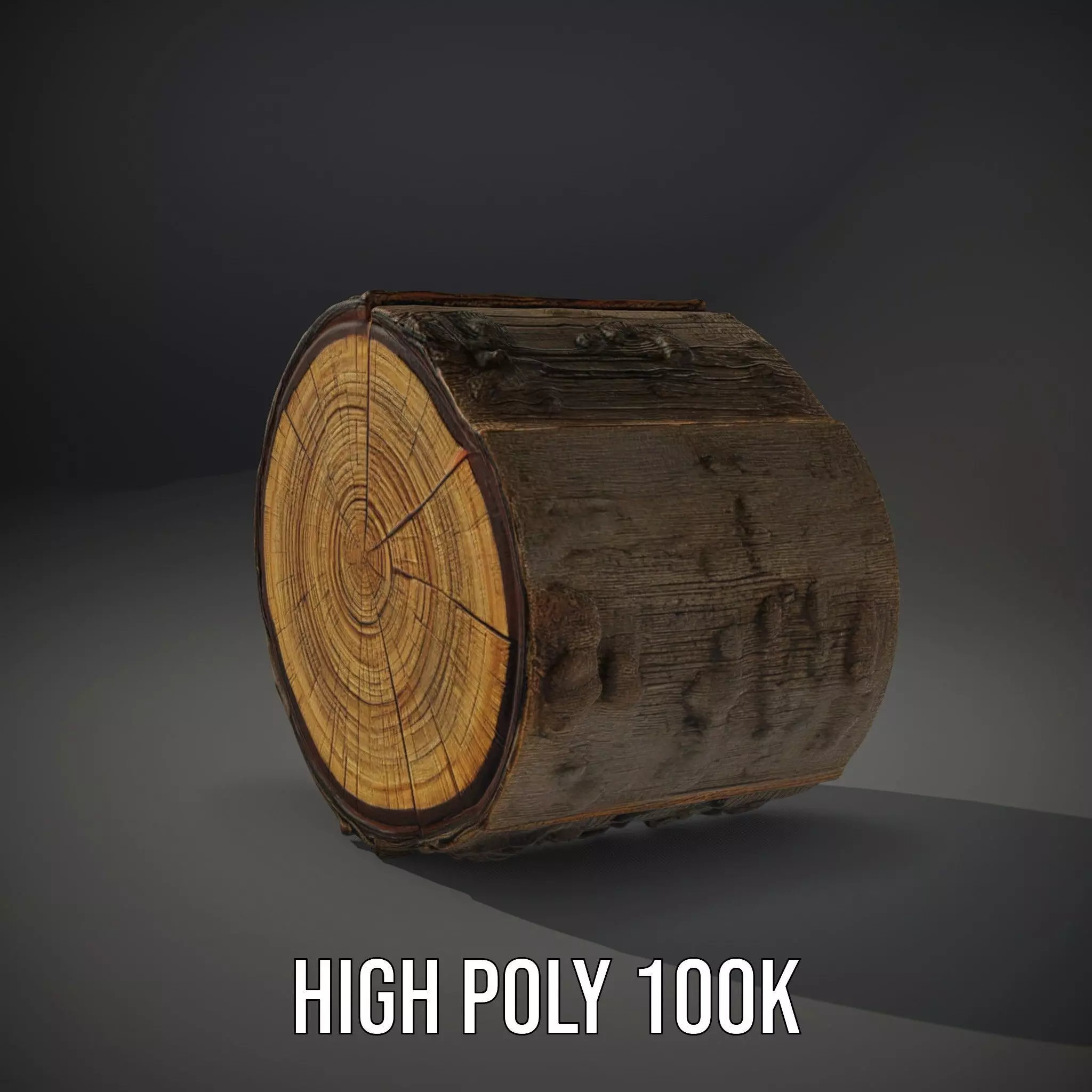 Natural Wood Log model pack Low-poly 3D model_8