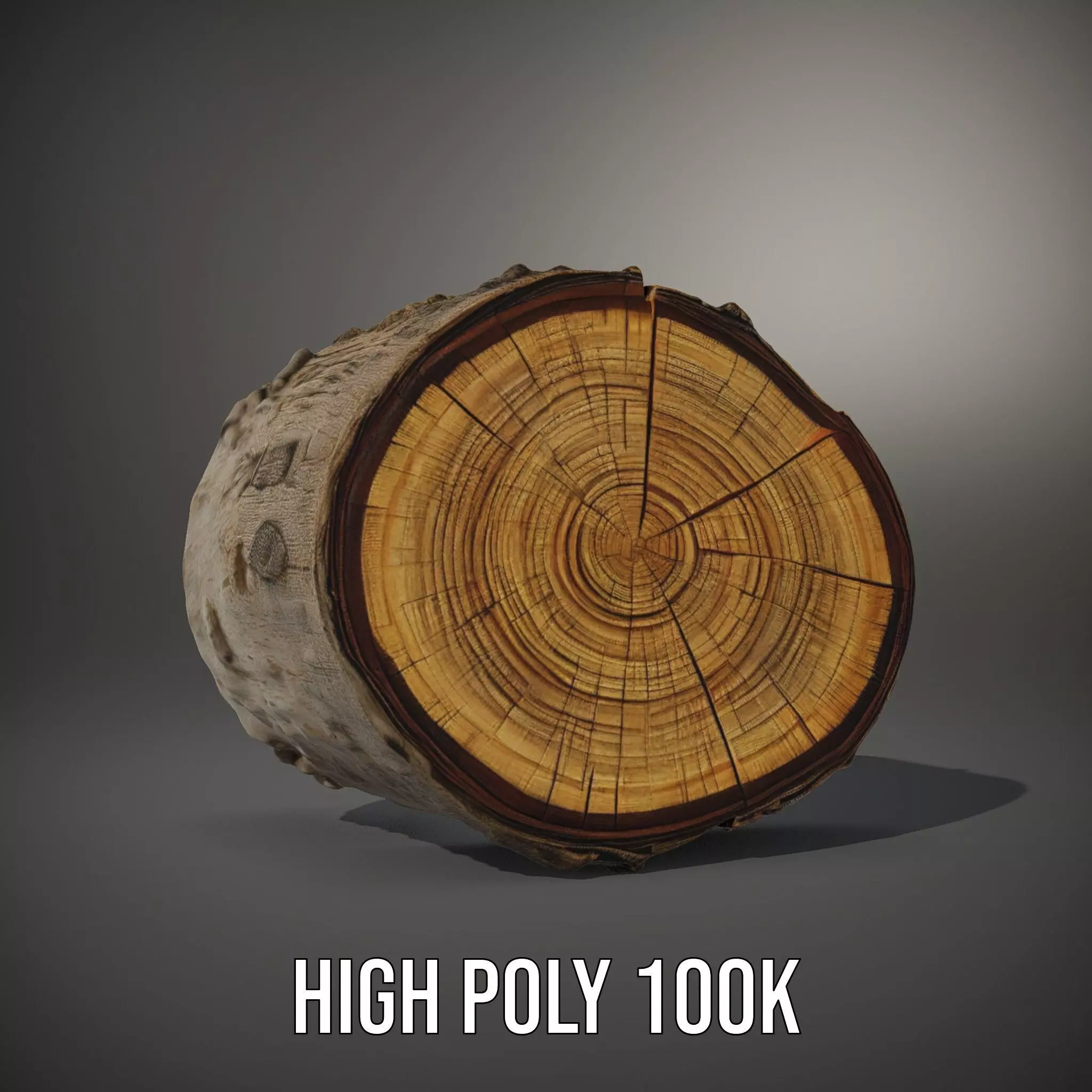 Natural Wood Log model pack Low-poly 3D model_10