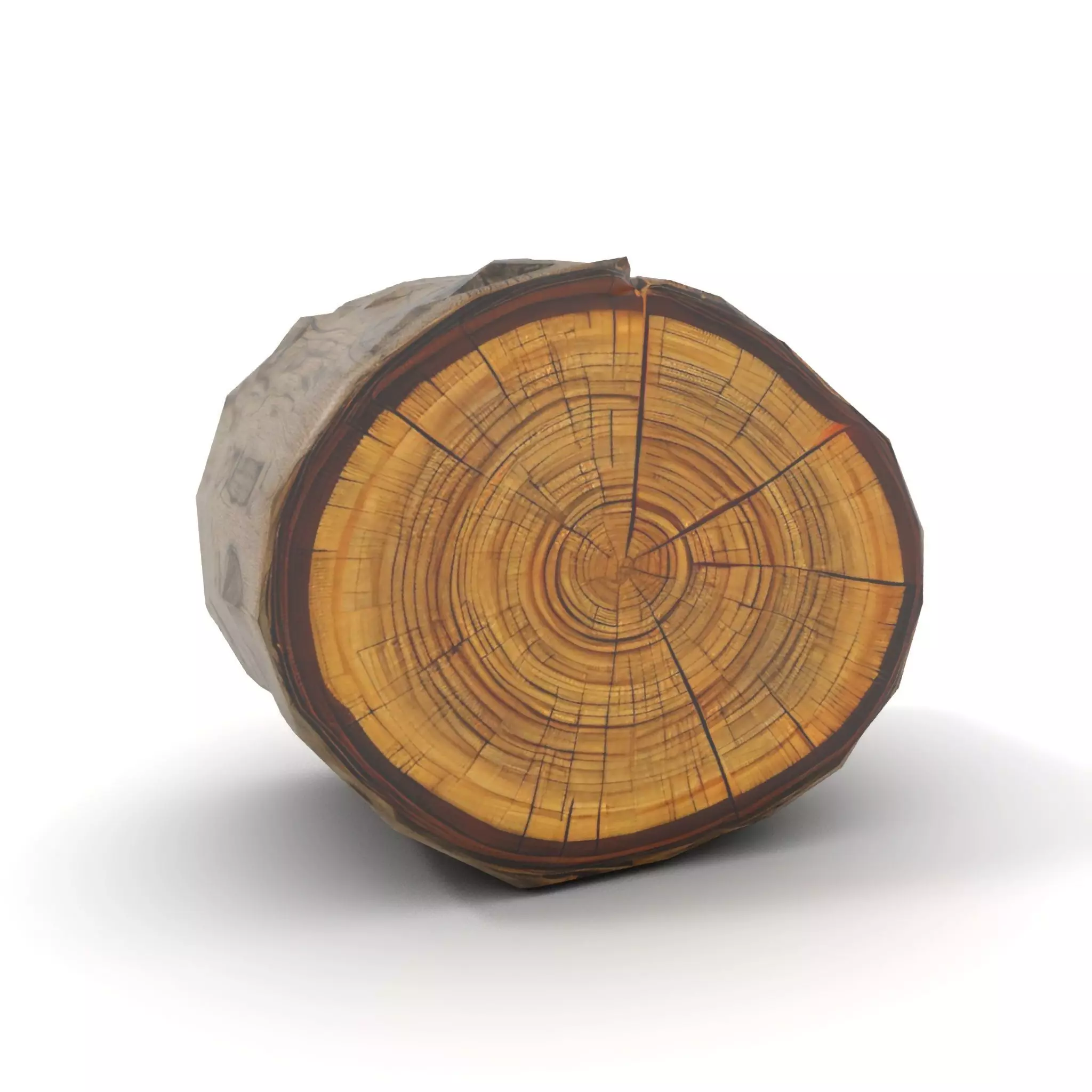 Natural Wood Log model pack Low-poly 3D model_7