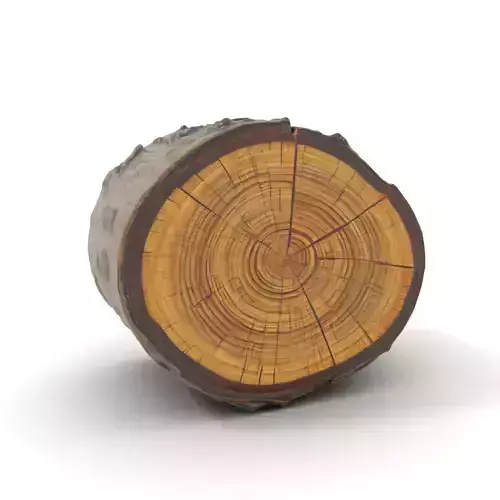 Natural Wood Log model pack Low-poly 3D model