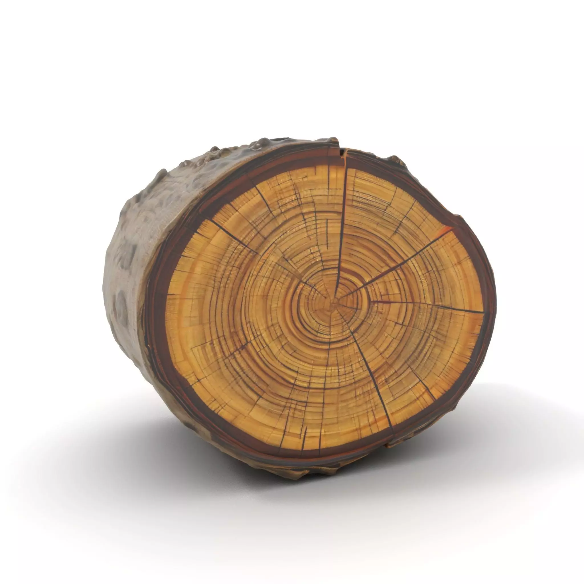 Natural Wood Log model pack Low-poly 3D model_0