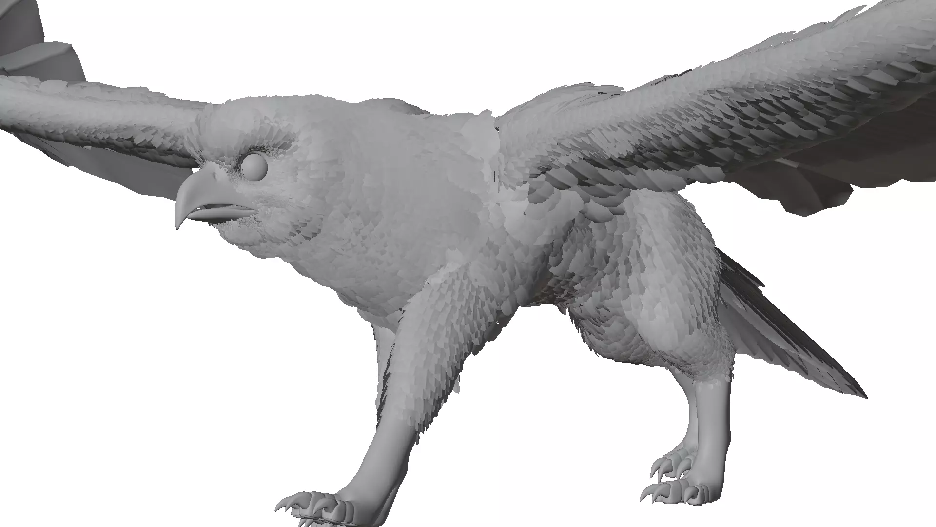 Griffin 3D model_8