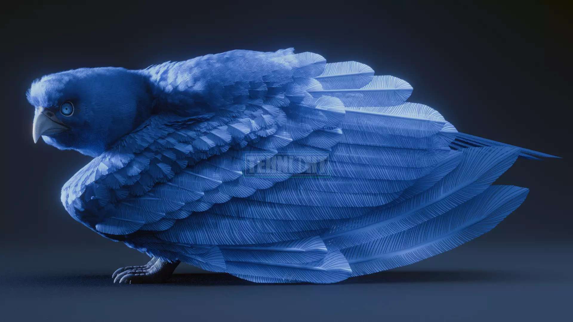 Griffin 3D model_2