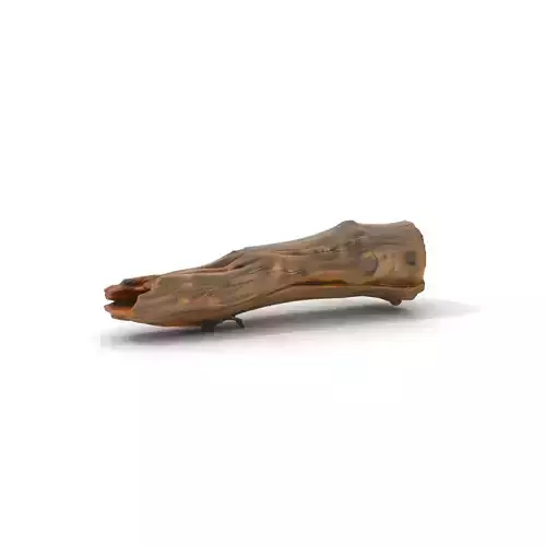 Rustic Driftwood model pack Low-poly 3D model