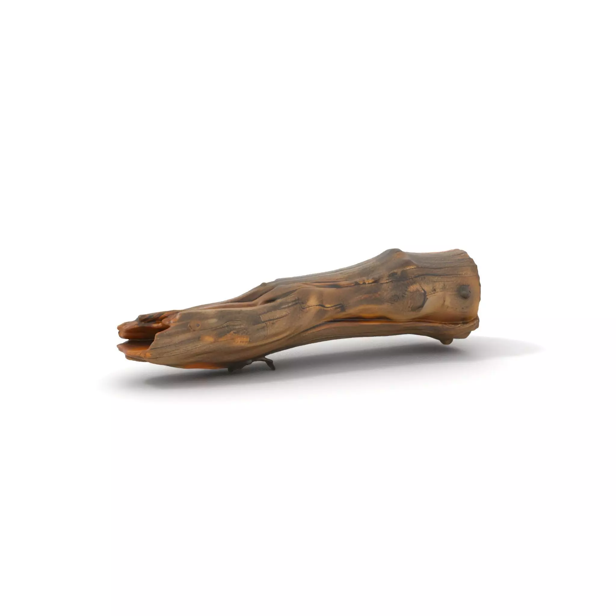 Rustic Driftwood model pack Low-poly 3D model_0