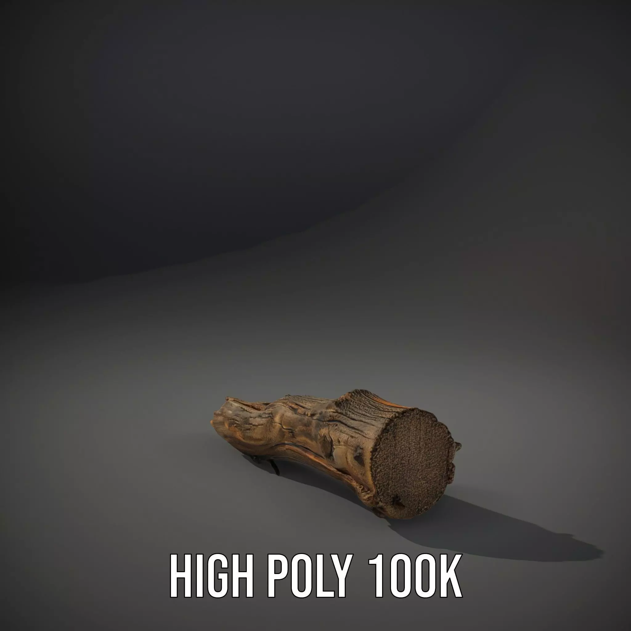 Rustic Driftwood model pack Low-poly 3D model_10