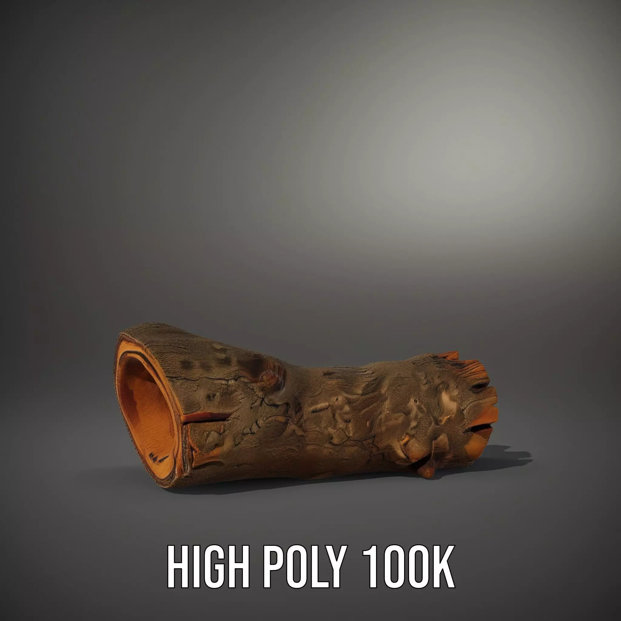 Realistic Wood Log model pack Low-poly 3D model_10