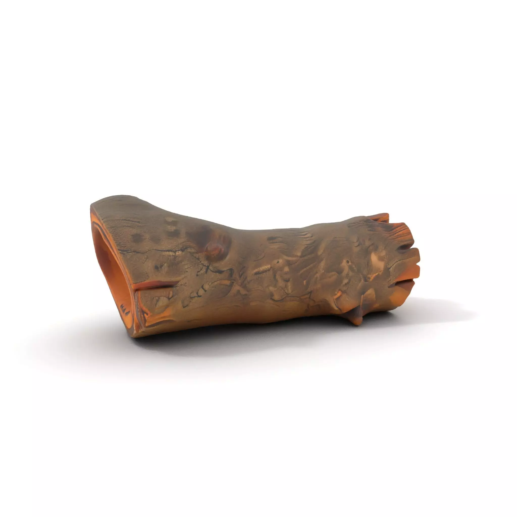 Realistic Wood Log model pack Low-poly 3D model_6
