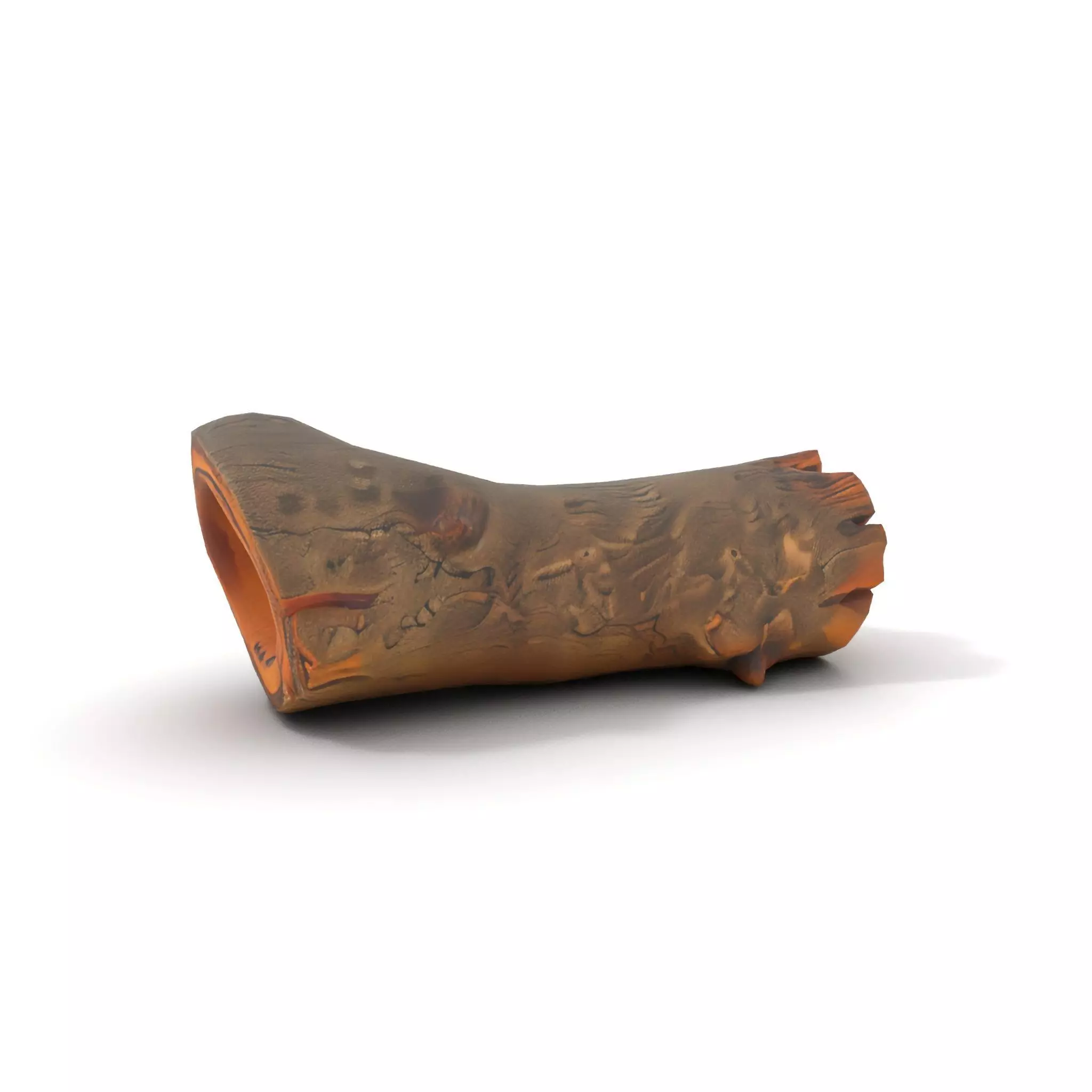 Realistic Wood Log model pack Low-poly 3D model_7