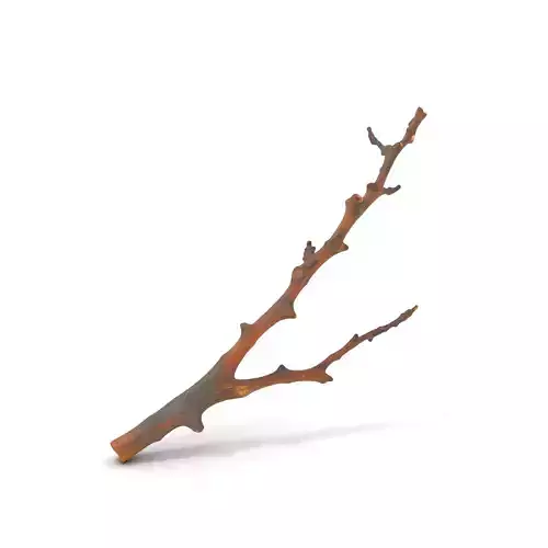 Natural Wooden Branch model pack Low-poly 3D model