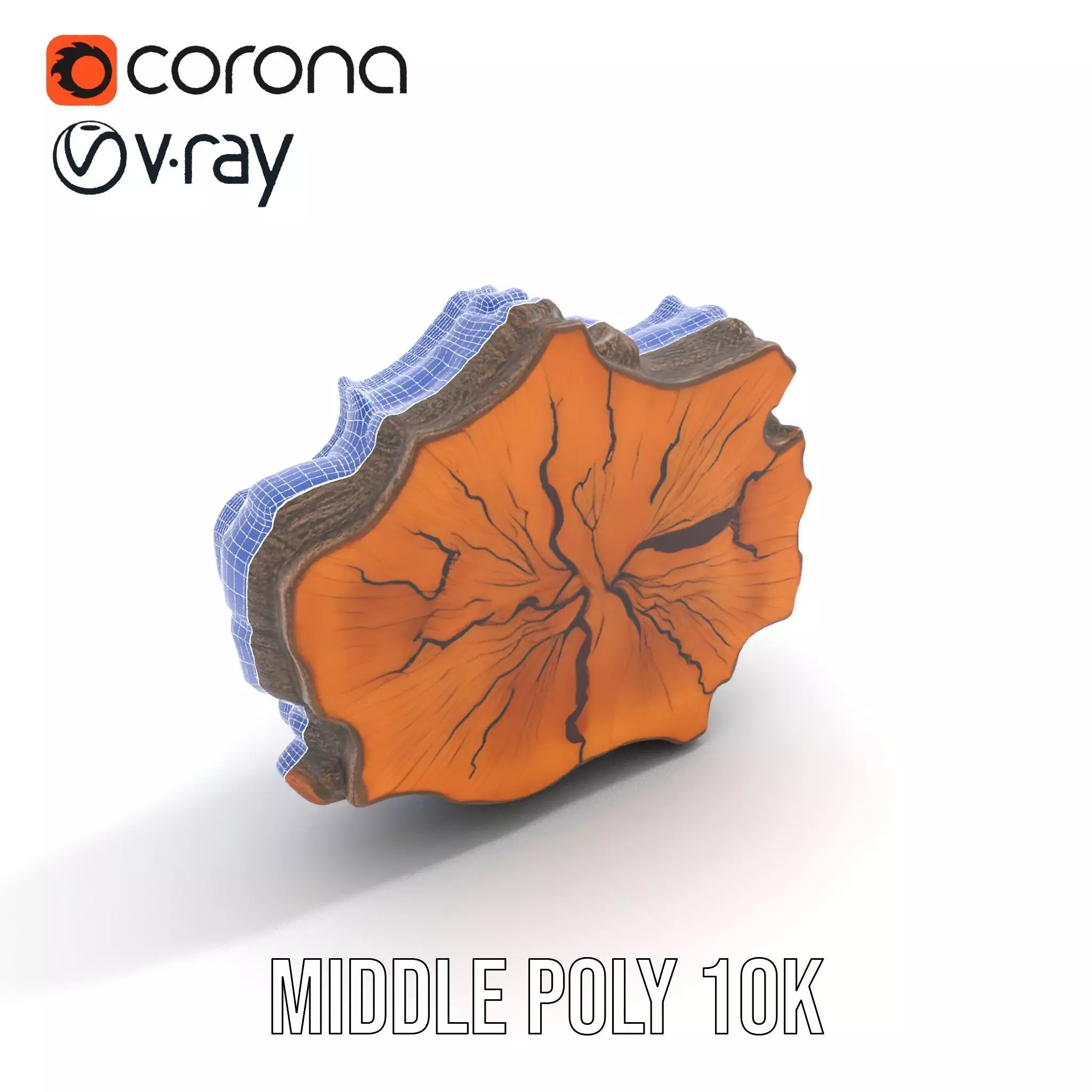Rustic Tree CrossSection model pack Low-poly 3D model_23
