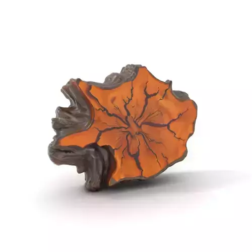 Rustic Tree CrossSection model pack Low-poly 3D model