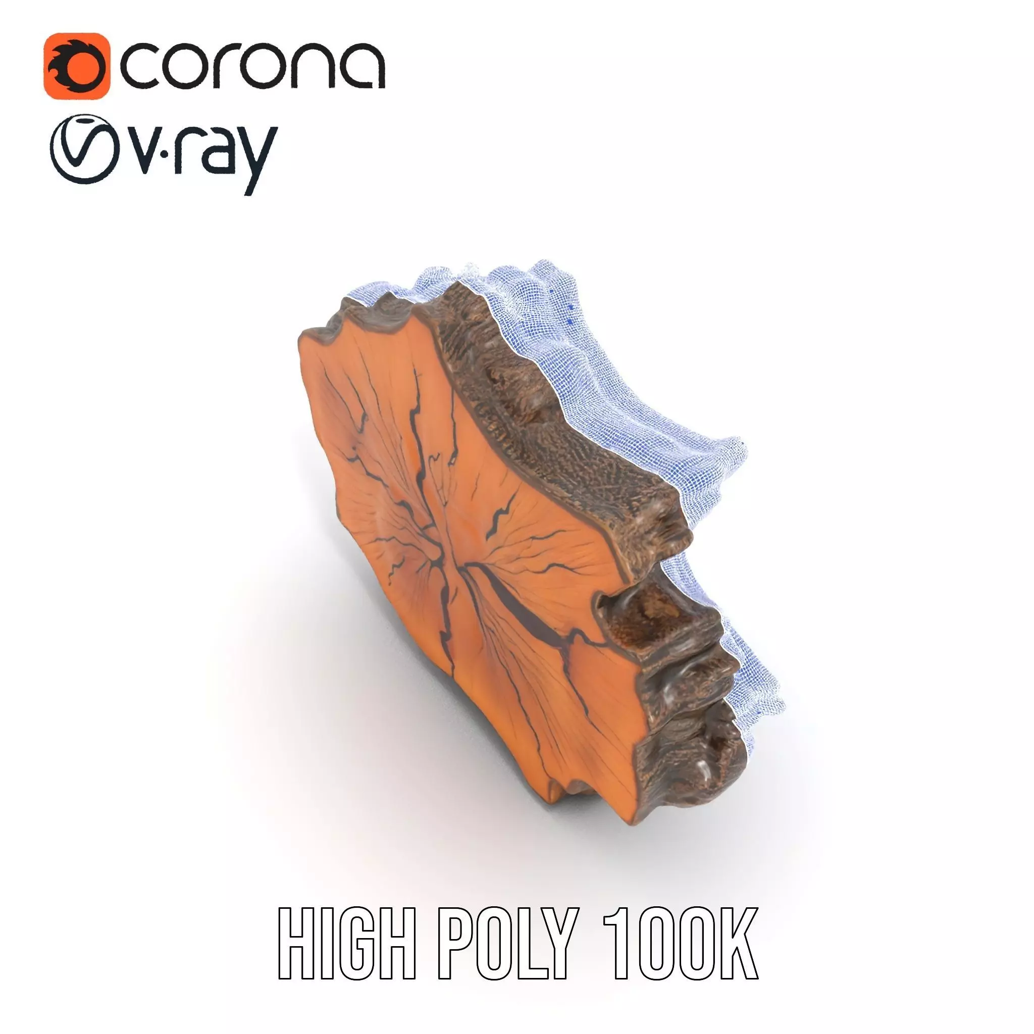 Rustic Tree CrossSection model pack Low-poly 3D model_25