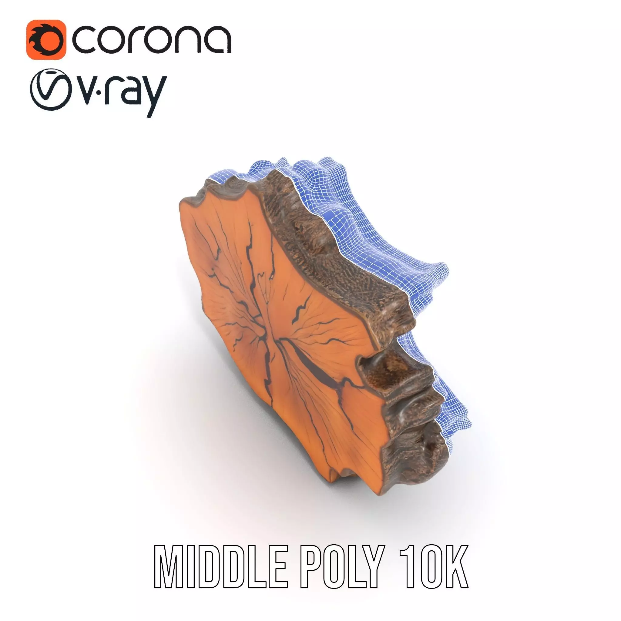 Rustic Tree CrossSection model pack Low-poly 3D model_19