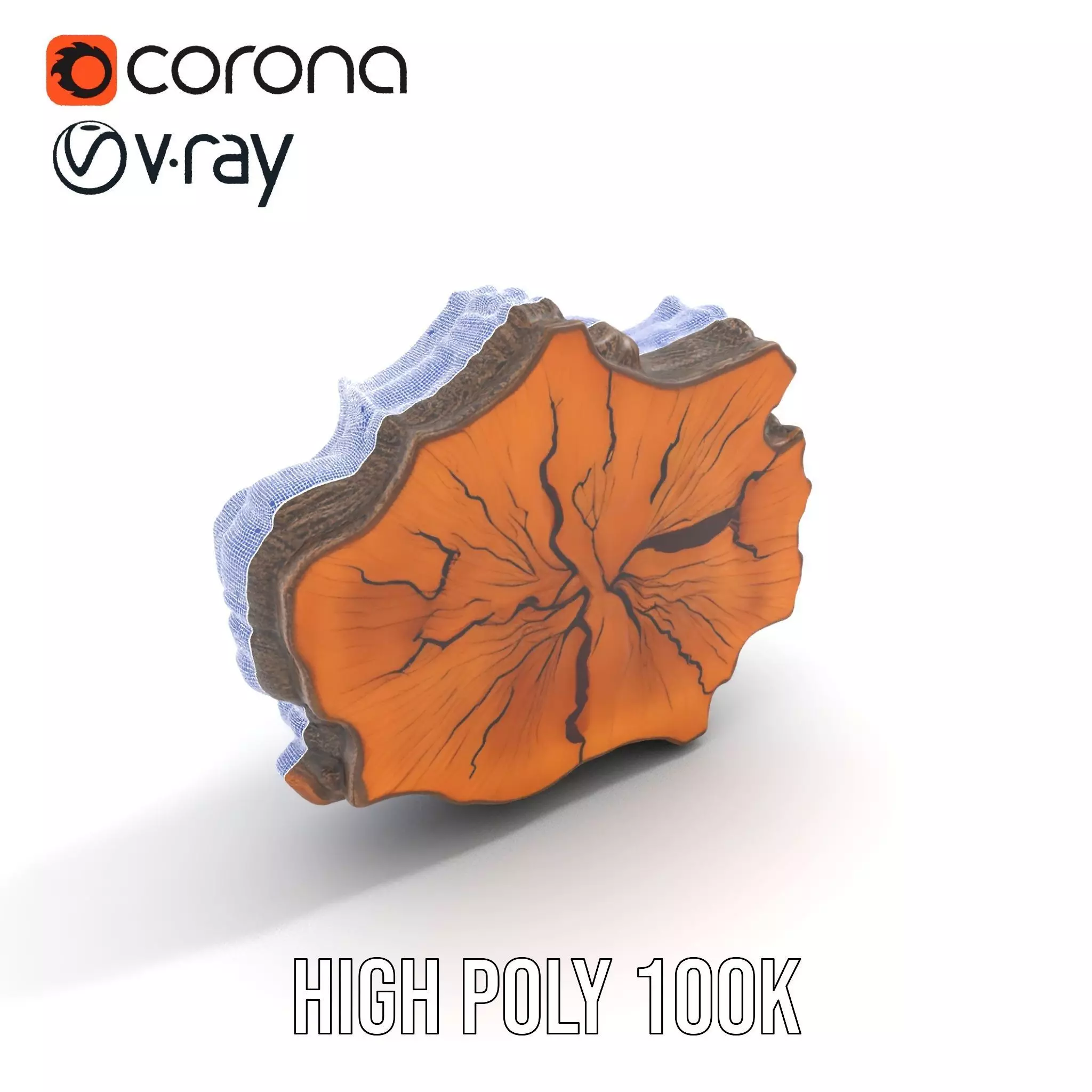 Rustic Tree CrossSection model pack Low-poly 3D model_28