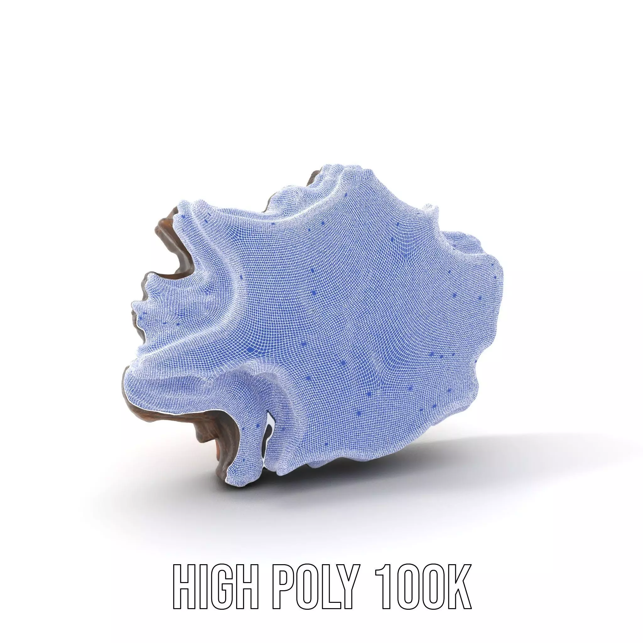 Rustic Tree CrossSection model pack Low-poly 3D model_4
