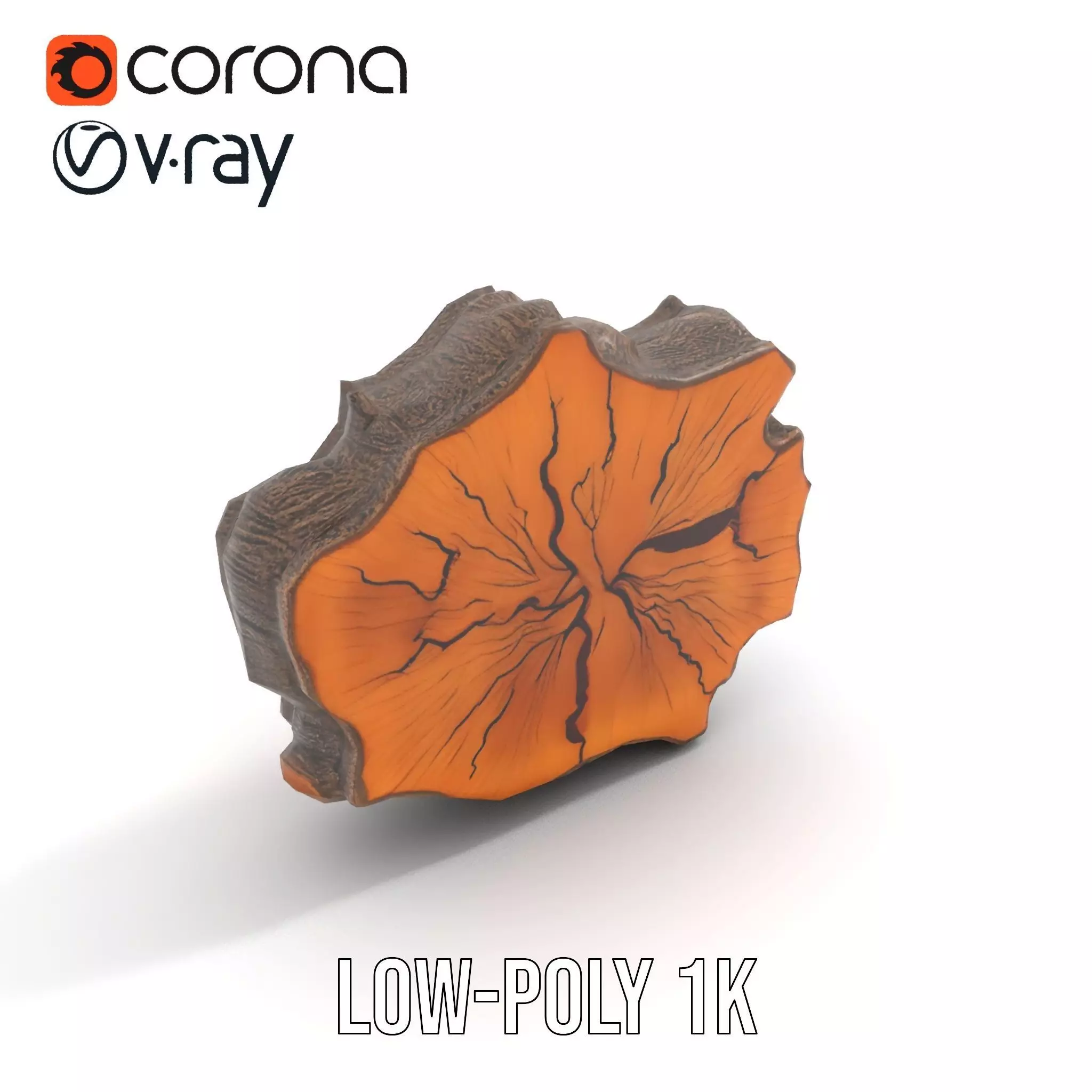 Rustic Tree CrossSection model pack Low-poly 3D model_17