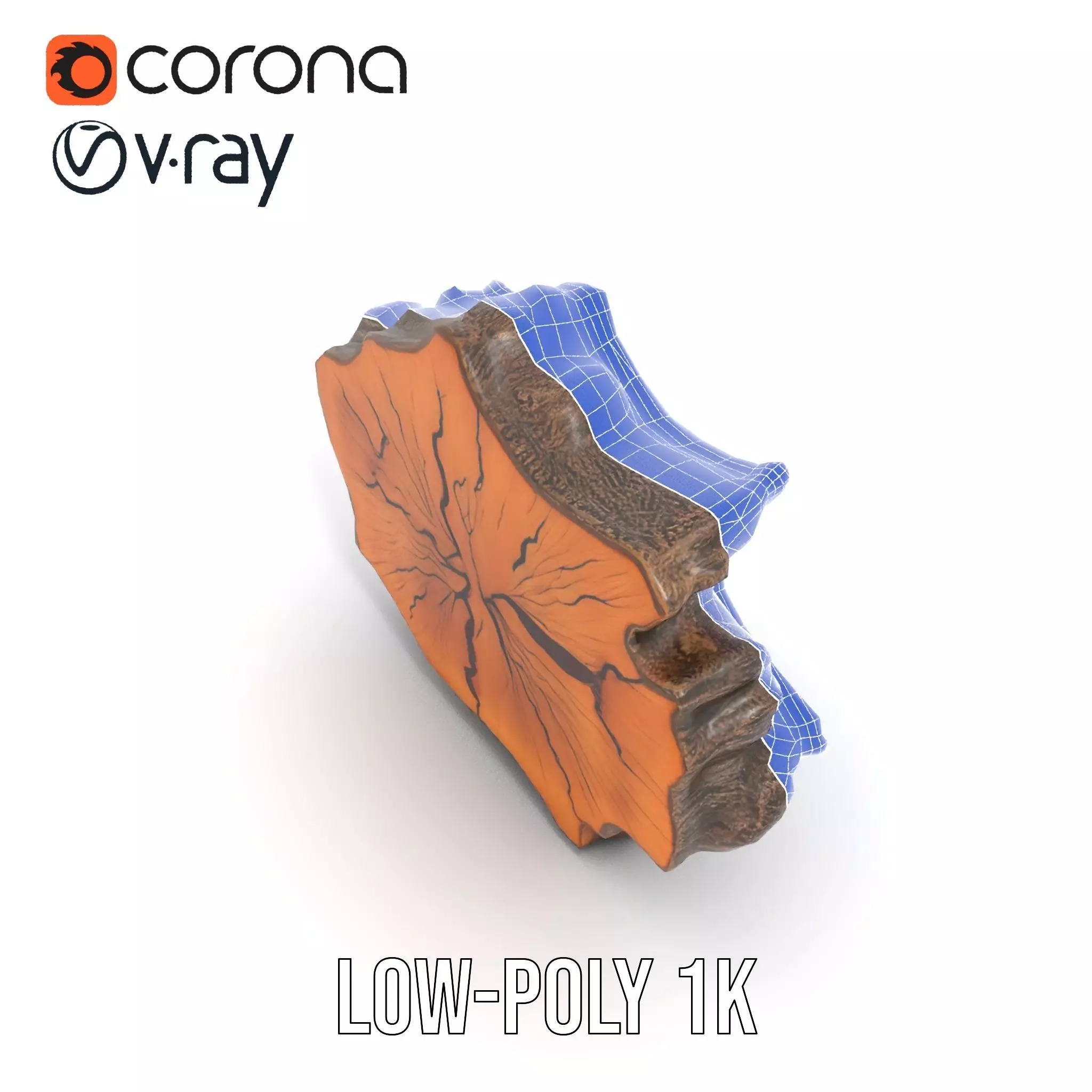 Rustic Tree CrossSection model pack Low-poly 3D model_15