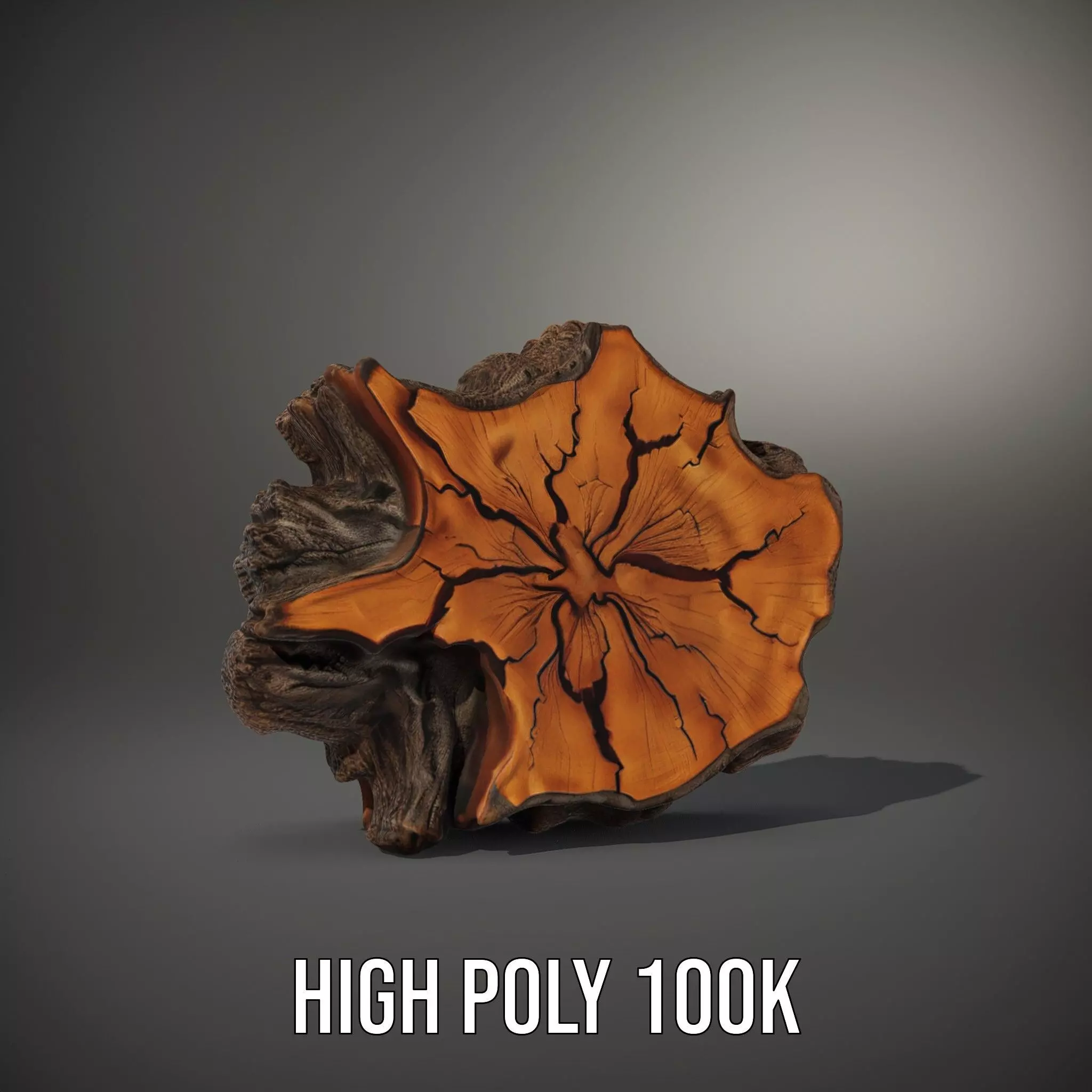Rustic Tree CrossSection model pack Low-poly 3D model_8