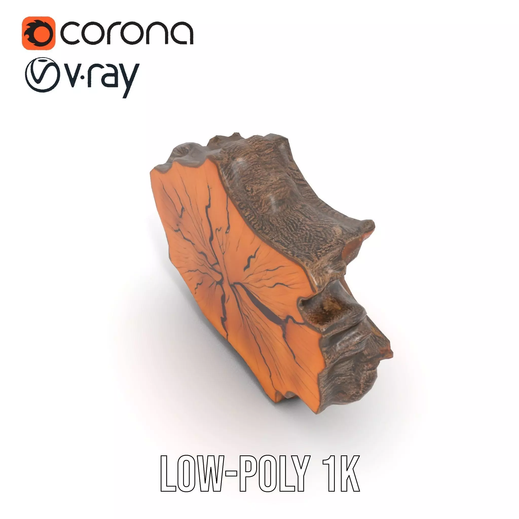 Rustic Tree CrossSection model pack Low-poly 3D model_9