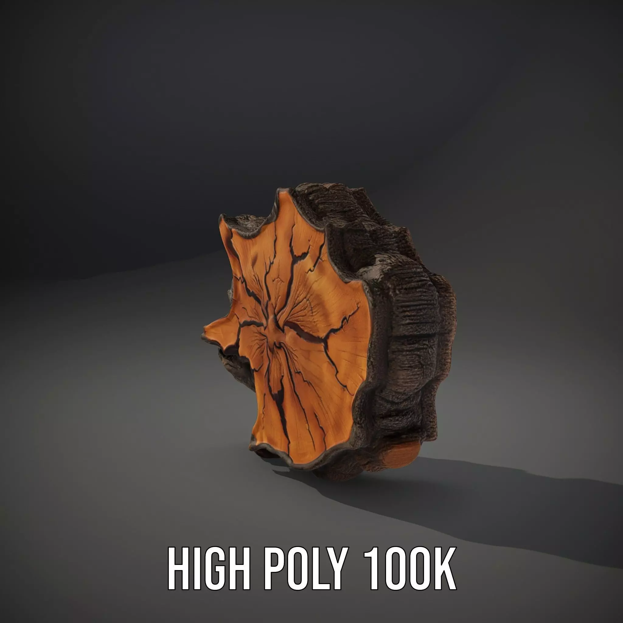 Rustic Tree CrossSection model pack Low-poly 3D model_10