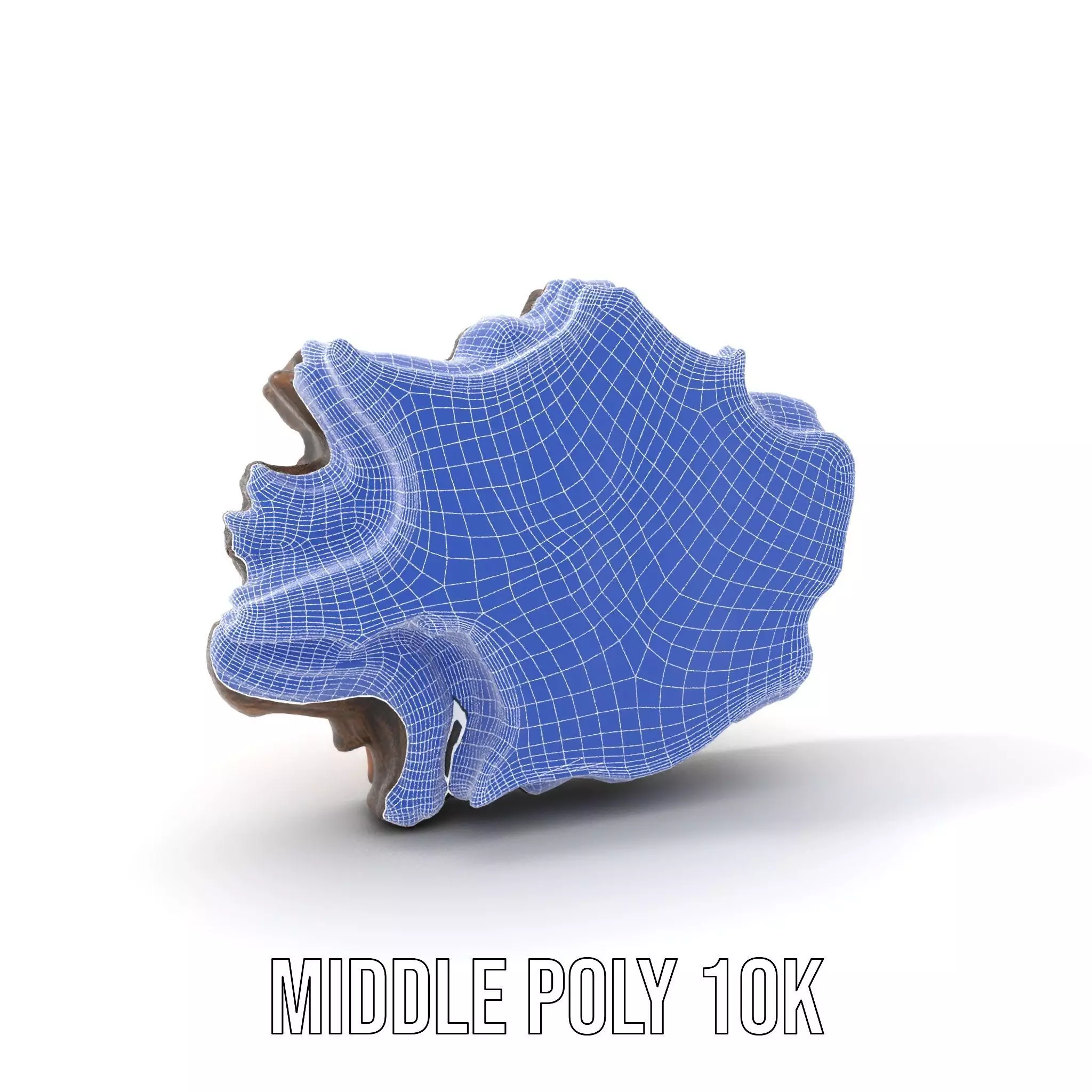 Rustic Tree CrossSection model pack Low-poly 3D model_5