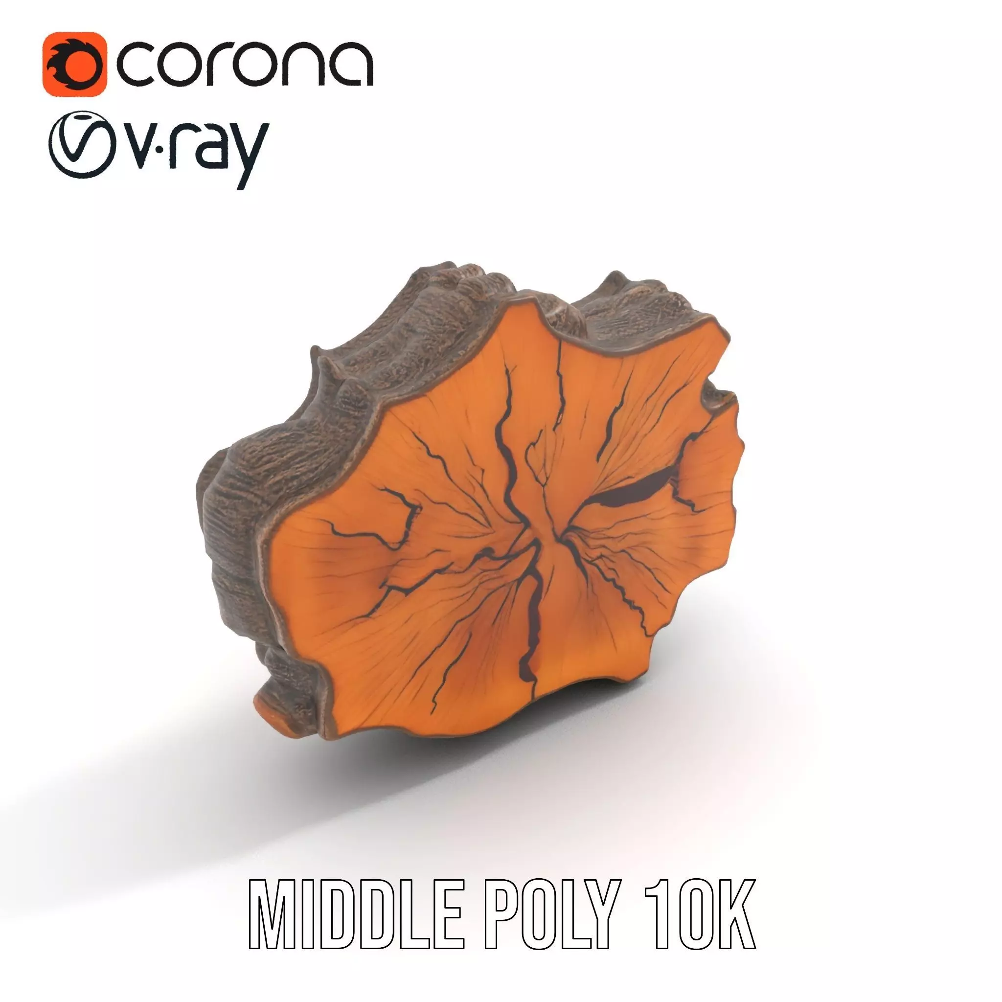 Rustic Tree CrossSection model pack Low-poly 3D model_6