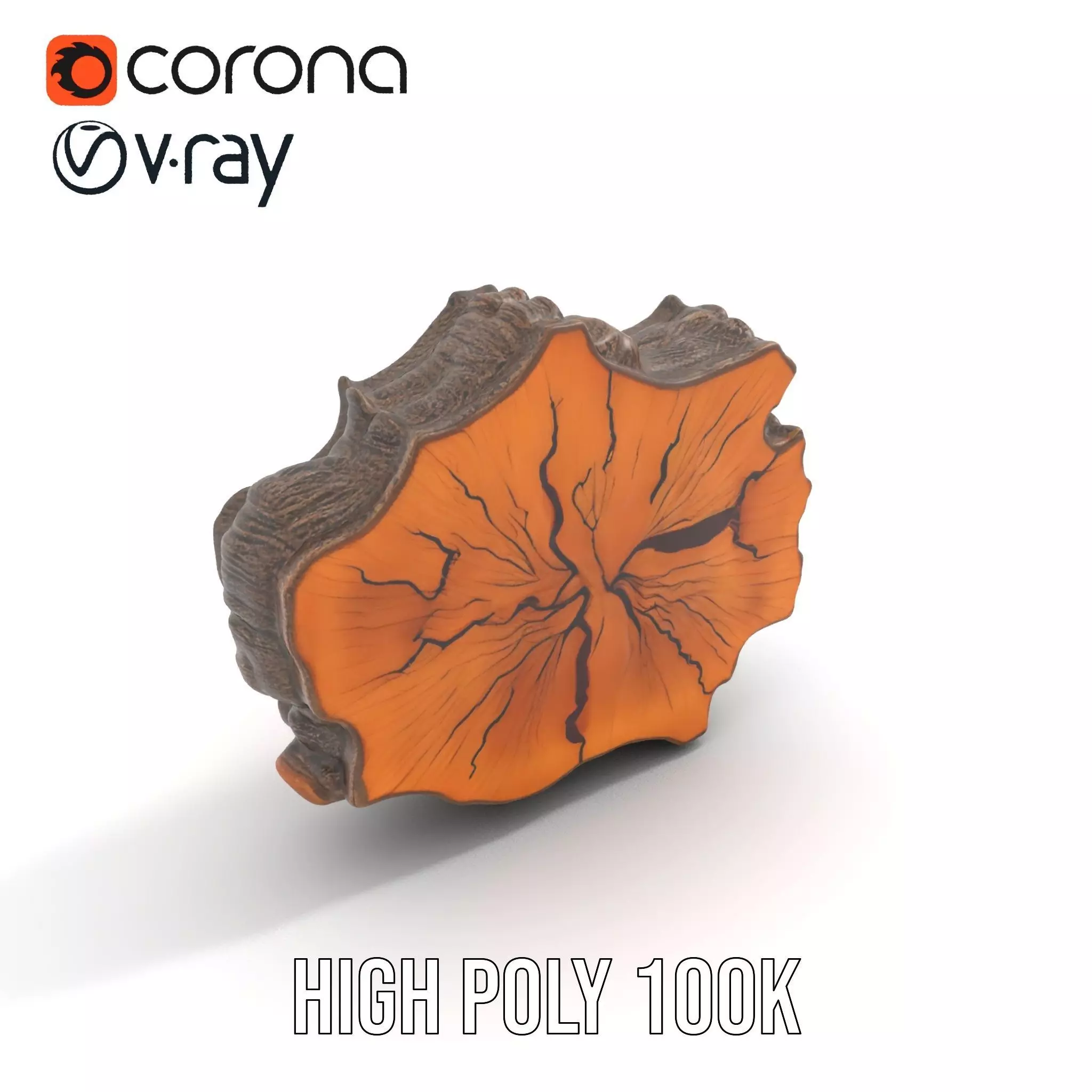 Rustic Tree CrossSection model pack Low-poly 3D model_13