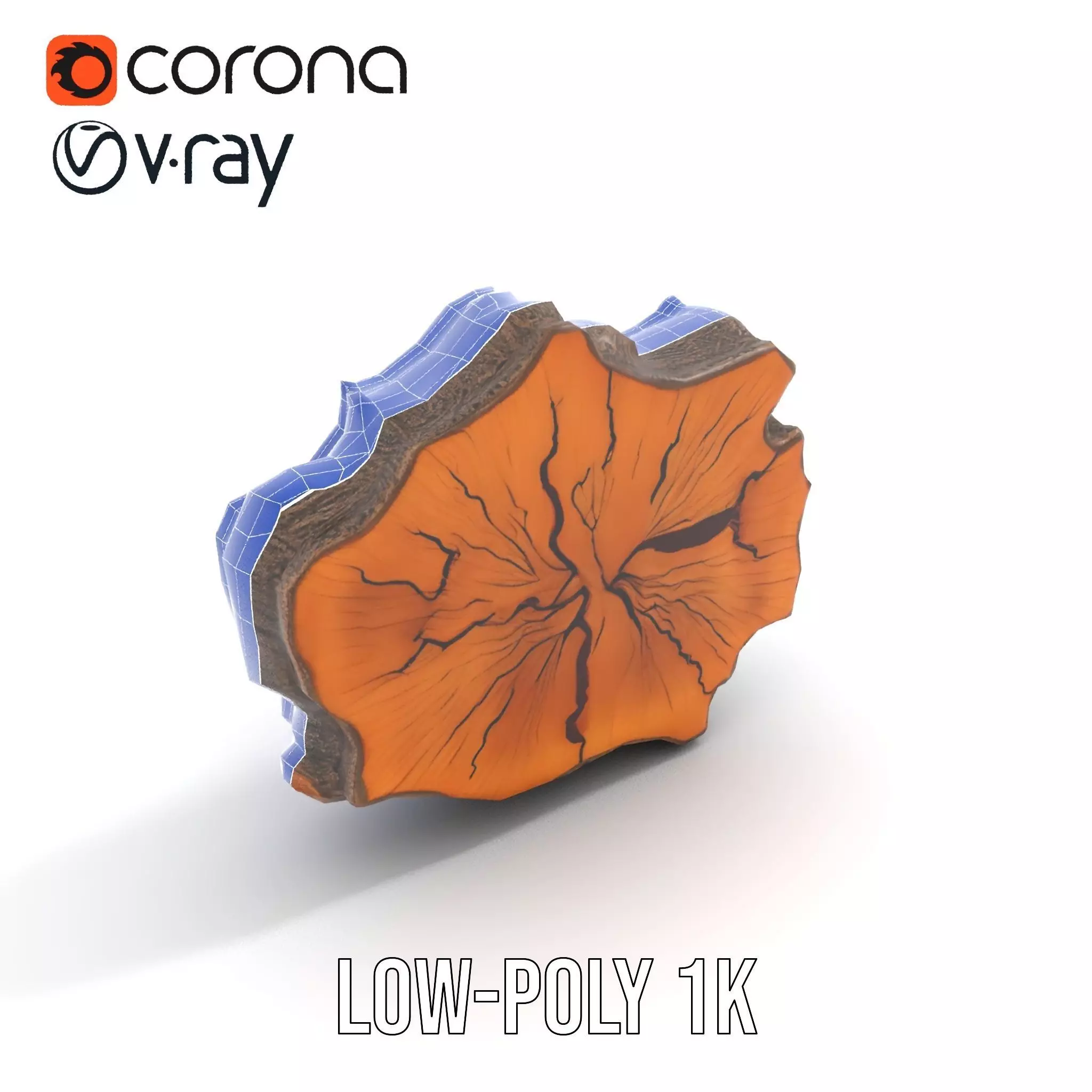Rustic Tree CrossSection model pack Low-poly 3D model_30