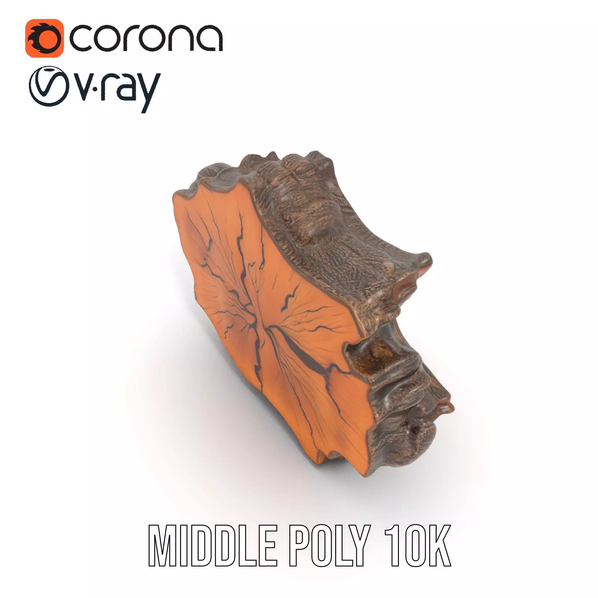 Rustic Tree CrossSection model pack Low-poly 3D model_21