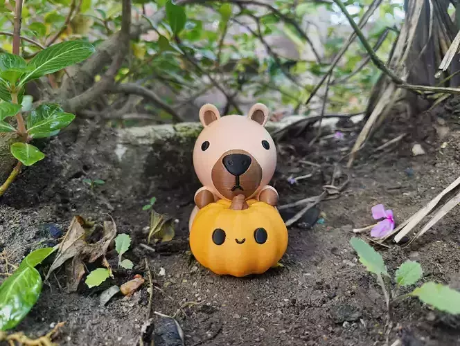 Halloween Special - Capybara