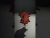 Elegant Wooden Cuckoo Clock model pack Low-poly 3D model_2