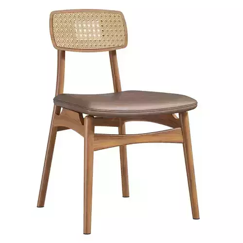 Modern Dining Chair High Back Rattan Dining Chair