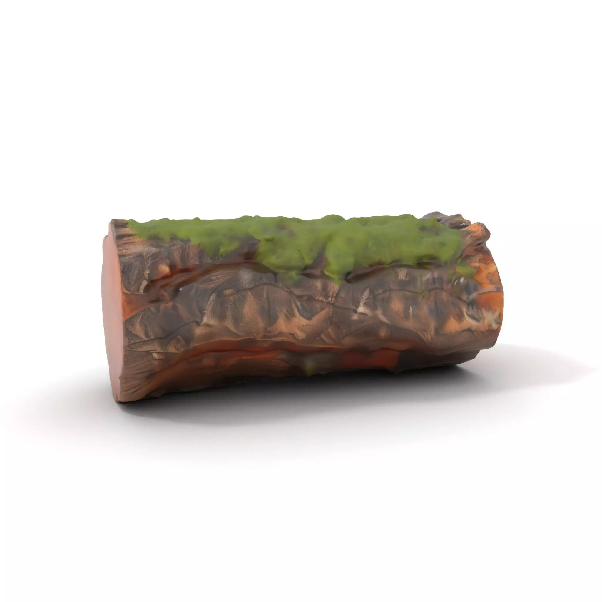 Mossy Log Detail model pack Low-poly 3D model_0