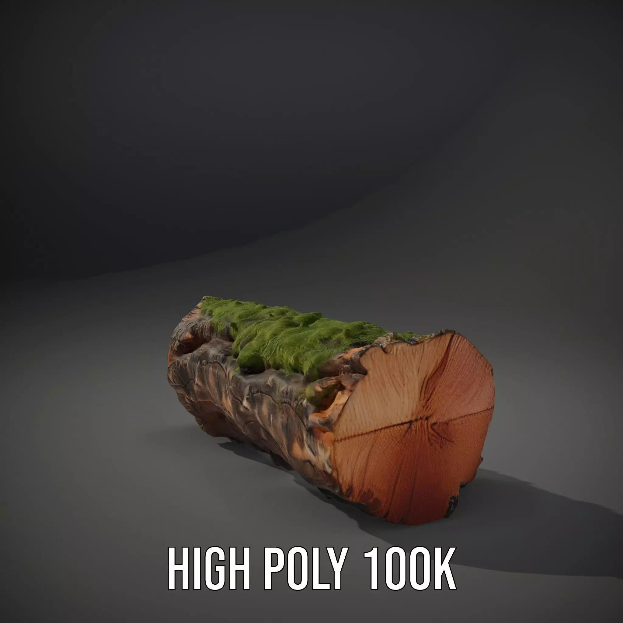 Mossy Log Detail model pack Low-poly 3D model_9