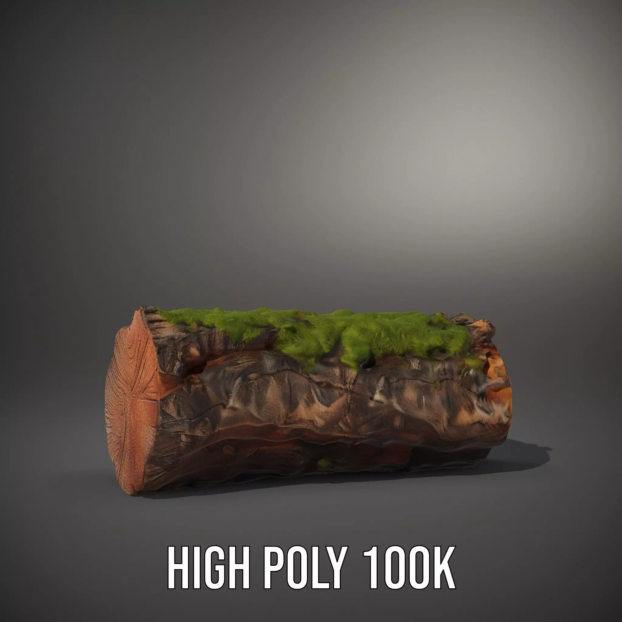 Mossy Log Detail model pack Low-poly 3D model_11