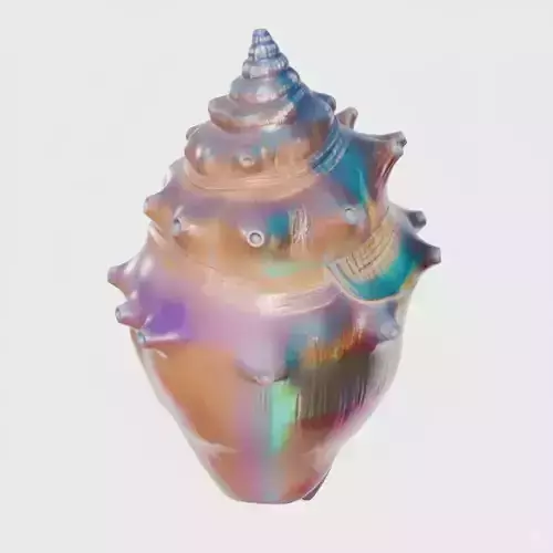 Colorful Sea Shell Iridescent Conch Vibrant Patterns 3D Model Low-poly 3D model