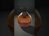 Elegant Ceramic Vase model pack Low-poly 3D model_2