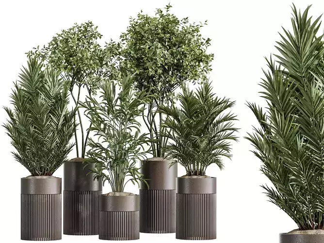 AV Indoor Plants Set 330 Palm Olive Eucalyptus 