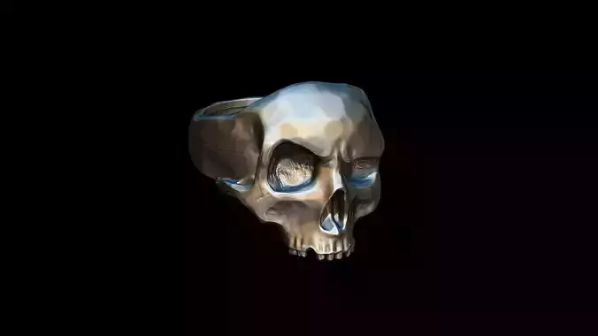 Realistic Skull Ring 3D print model 3D print model