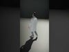 Animated Doctor Character model pack Low-poly 3D model_2