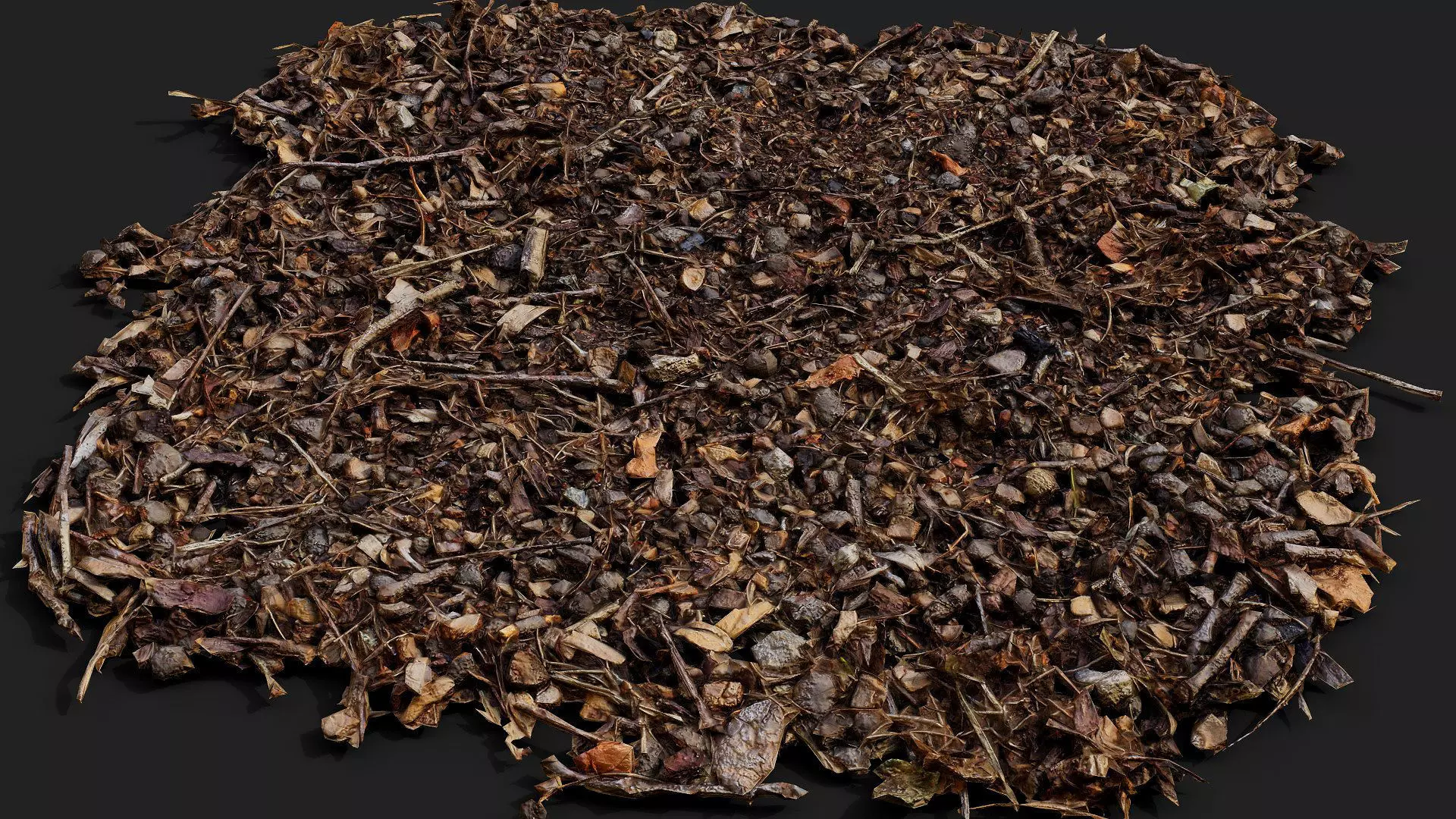 forest ground patch debris pt1 detail PBR photogrammetry Low-poly 3D model_4