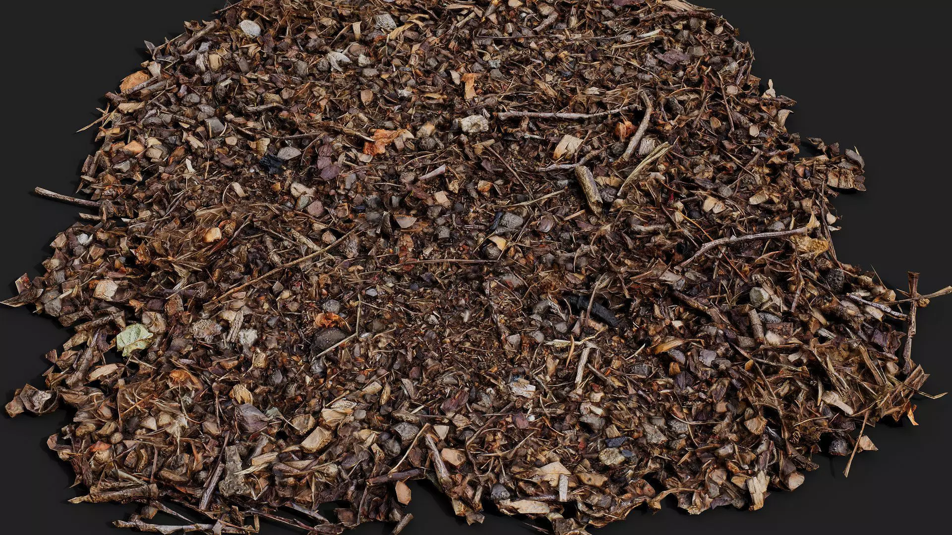 forest ground patch debris pt1 detail PBR photogrammetry Low-poly 3D model_3