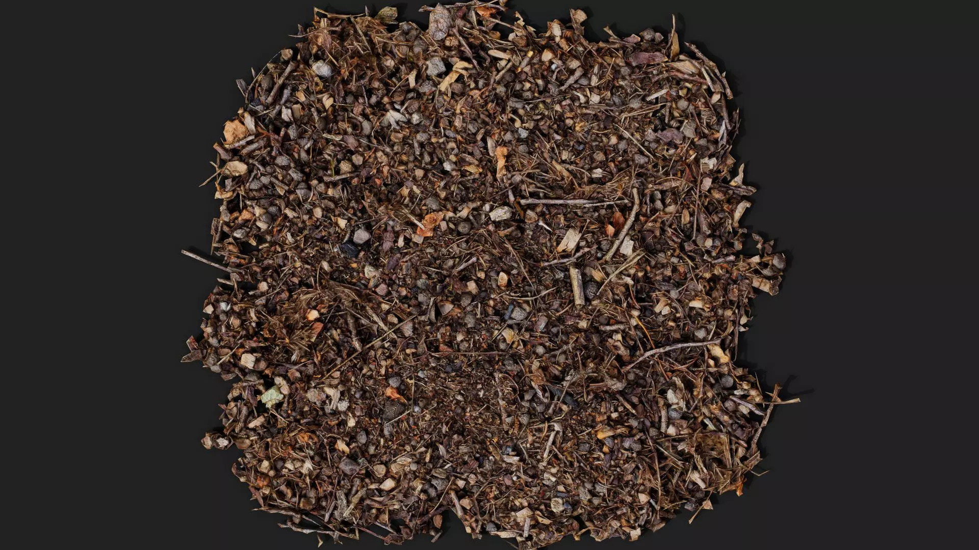 forest ground patch debris pt1 detail PBR photogrammetry Low-poly 3D model_5