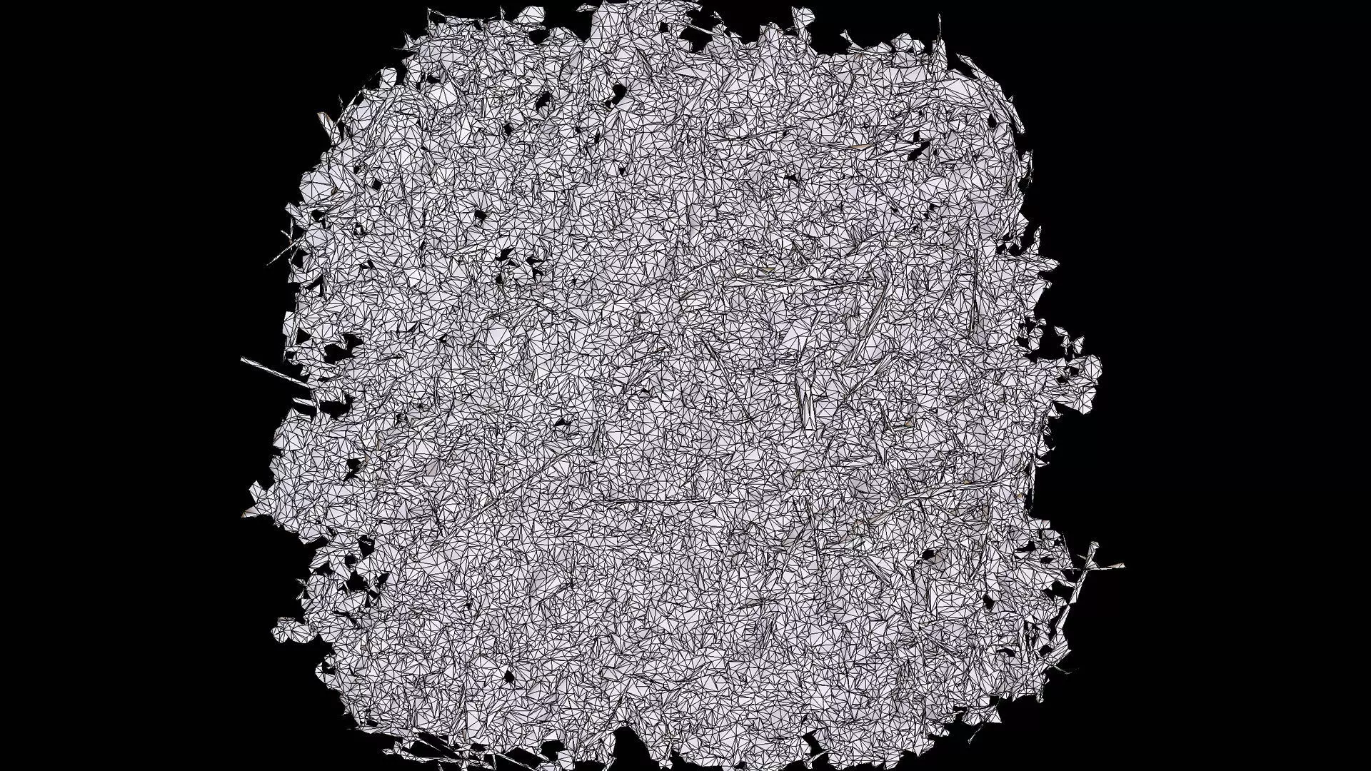 forest ground patch debris pt1 detail PBR photogrammetry Low-poly 3D model_7