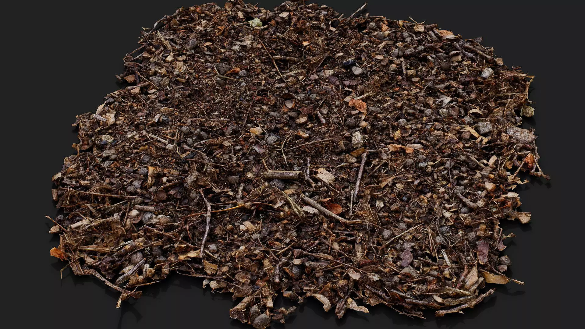 forest ground patch debris pt1 detail PBR photogrammetry Low-poly 3D model_2