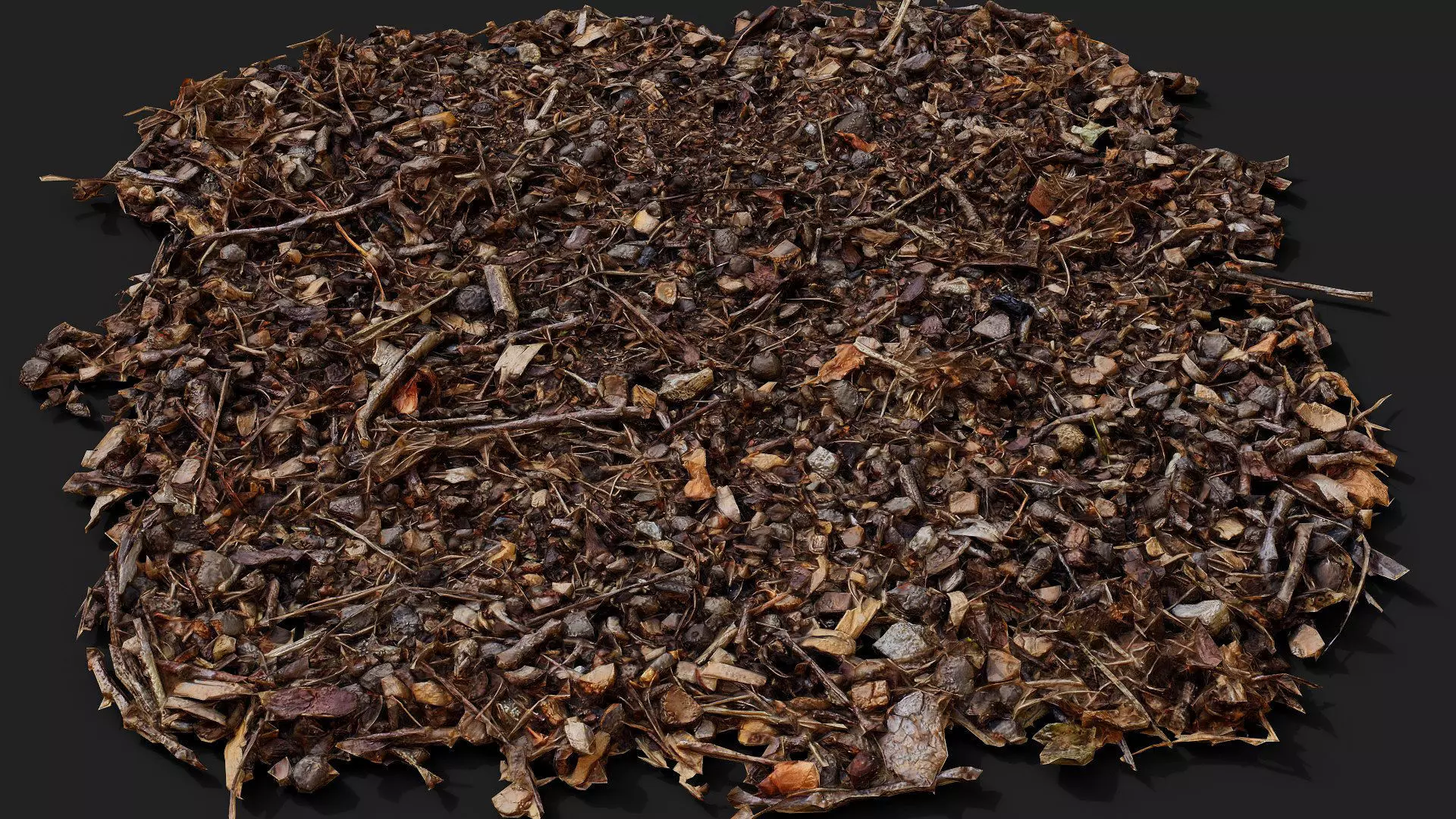 forest ground patch debris pt1 detail PBR photogrammetry Low-poly 3D model_0